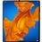 Smartphone Huawei Mate Xs 5G - 512GB - Azul_0