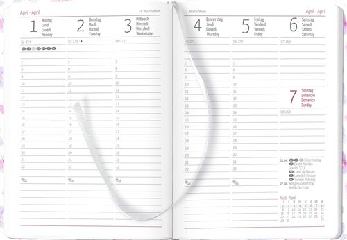 Alpha Edition - Agenda Settimanale Ladytimer 2024, formato