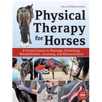 Physical therapy for horses