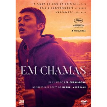 Em Chamas - Burning - DVD