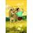 Saga - Livro 2_1