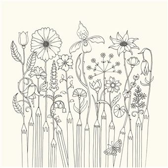 World of Flowers: A Colouring Book and Floral Adventure: Johanna