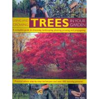 Using and Growing Trees in Your Garden