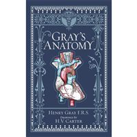 Gray's Anatomy: The Anatomical Basis of Clinical Practice 41st