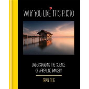Why You Like this Photo