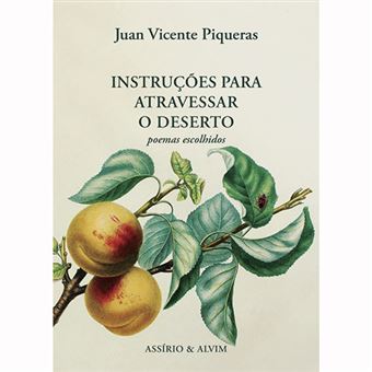 Instruções para Atravessar o Deserto