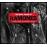 The Many Faces Of Ramones (3CD)_0
