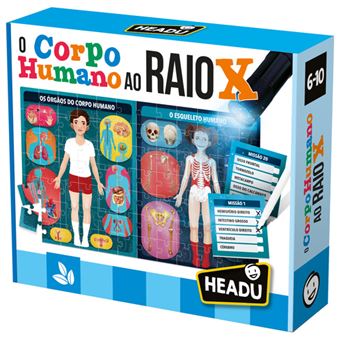 O Corpo Humano Ao Raio X
