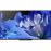 Smart TV Android Sony HDR OLED KD-65AF8 165cm_0