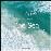 The Life & Love of the Sea_0