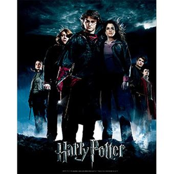 Poster 3D Harry Potter: Globet of Fire