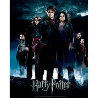 Poster 3D Harry Potter: Globet of Fire