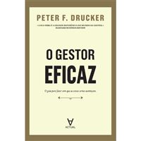 O Gestor Eficaz