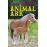 Foals in the Field_0