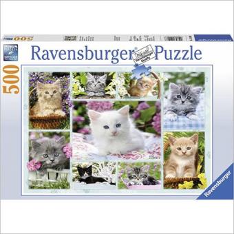 Puzzle Kitten In A Basket Jigsaw Puzzle (500 peças)