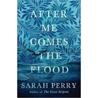 After me Comes the Flood