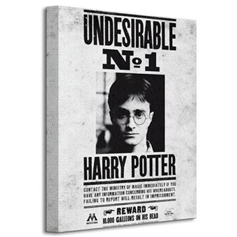 Poster Harry Potter: Undesirable nº 1
