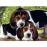 Puzzle Close Together (500 Peças)_1