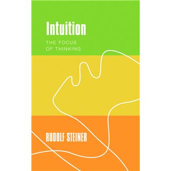 Intuition