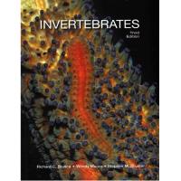 Invertebrates