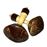 Maracas Coconut Par Terre_0