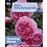 Alan titchmarsh how to garden: grow_0