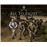 Fit to Fight: A History of the Royal Army Physical Training Corps 1860–2015_0