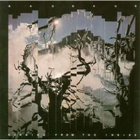 Burning From The Inside - CD