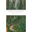 Malay Archipelago_0