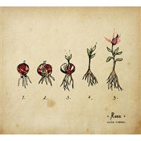 Rosa - CD