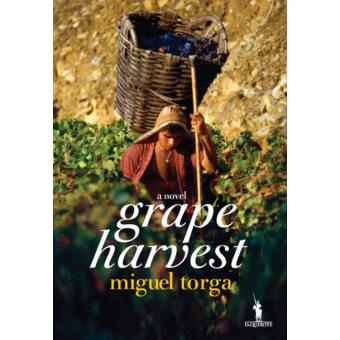 Grape Harvest