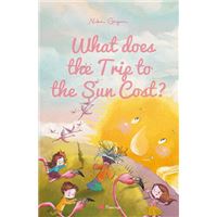 What Does the Trip to the Sun Cost?