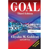 The Goal - A Process of Ongoing Improvement