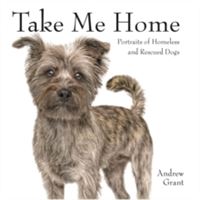 Take Me Home! - Rescue Dogs