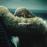 Lemonade (CD+DVD)_0