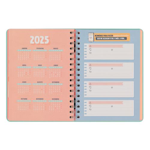 Agenda Semanal 2024 Mr.Wonderful Pequena Espiral - Vou Conquistar Milhões  de Coisas - Papelaria - Agendas 12 Meses - Compra Livros na