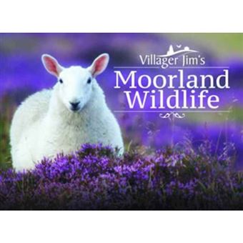 Villager jim's moorland wildlife