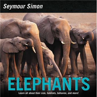 Elephants - 1