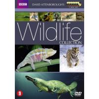 David Attenborough's Wildlife Collection: Life of Mammals & Life in Cold Blood