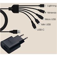 Universal Charger