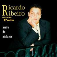 A Seiva da Minha Voz - CD