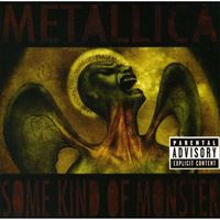 Some Kind Of Monster - CD