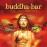 Buddha Bar-The Ultimate Experience (10CD)_0