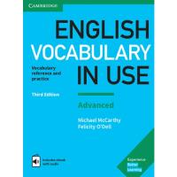 English Vocabulary in Use: Advanced