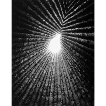 Light Lines - The Architectural Photographs of Helene Binet - 1