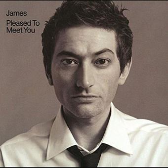 Pleased To Meet You - 2LP 12''