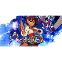 Indivisible Switch - NTS