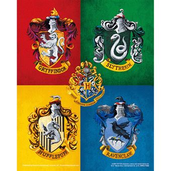 Poster 3D Harry Potter Colourful Crests