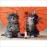 Puzzle Kittens Under an Umbrella (500 peças)_1