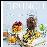 Brunch_0